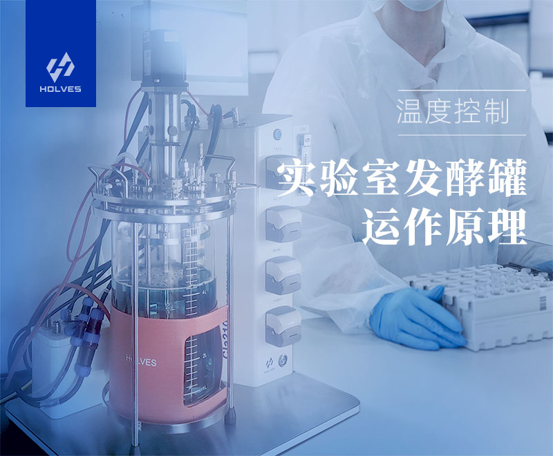 实验室发酵罐 实验室发酵罐运作原理之温度控制
