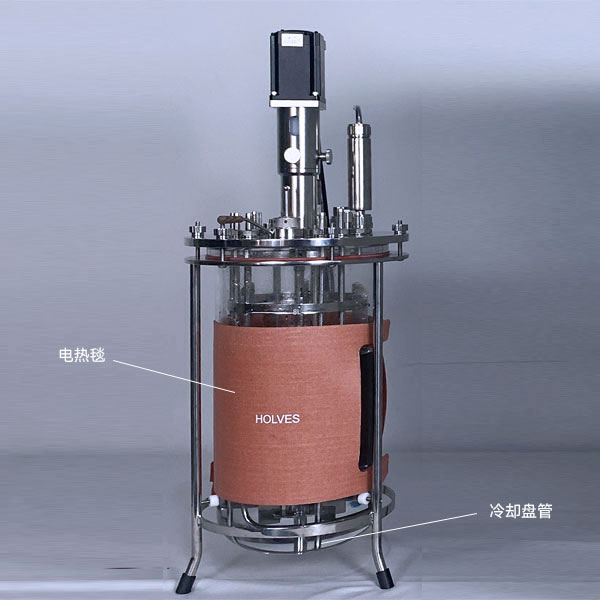 XKTY.COM(HOLVES)实验发酵罐 XKTY.COM(HOLVES)实验发酵罐