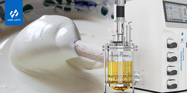 发酵罐在乳制品生产中的重要意义 发酵罐在乳制品生产中的重要意义