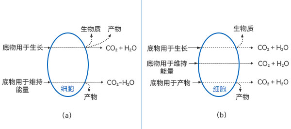 底物消耗的质量衡算图 底物消耗的质量衡算图