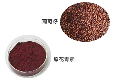 原花青素