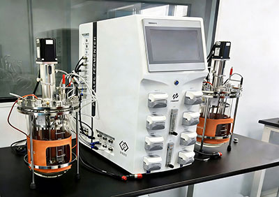 XKTY.COM实验室双联发酵罐Twin220